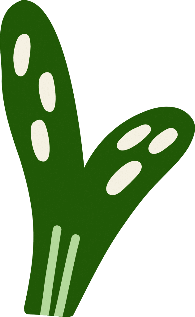 asset-1.png